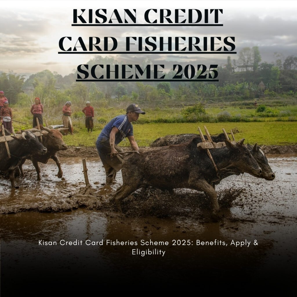 Credit Card Fisheries Scheme